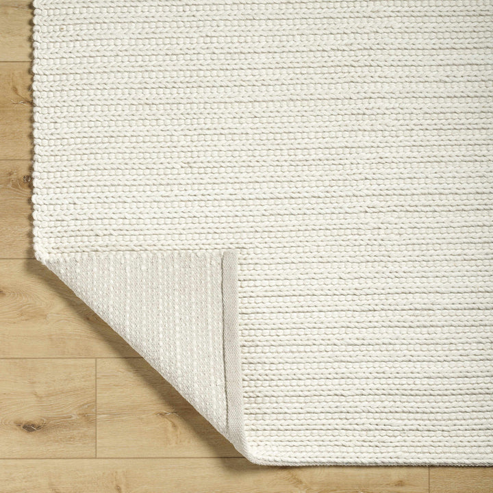 Lenci Modern Style Ivory Hand Woven Wool Area Rug