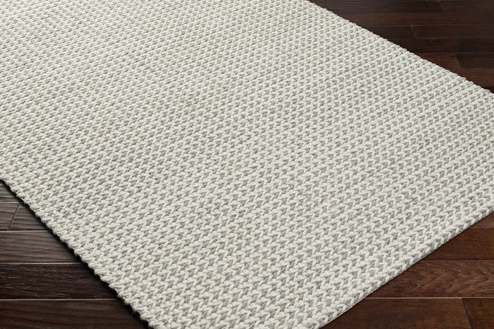 Lenci Modern Style Beige And Gray Hand Woven Wool Area Rug