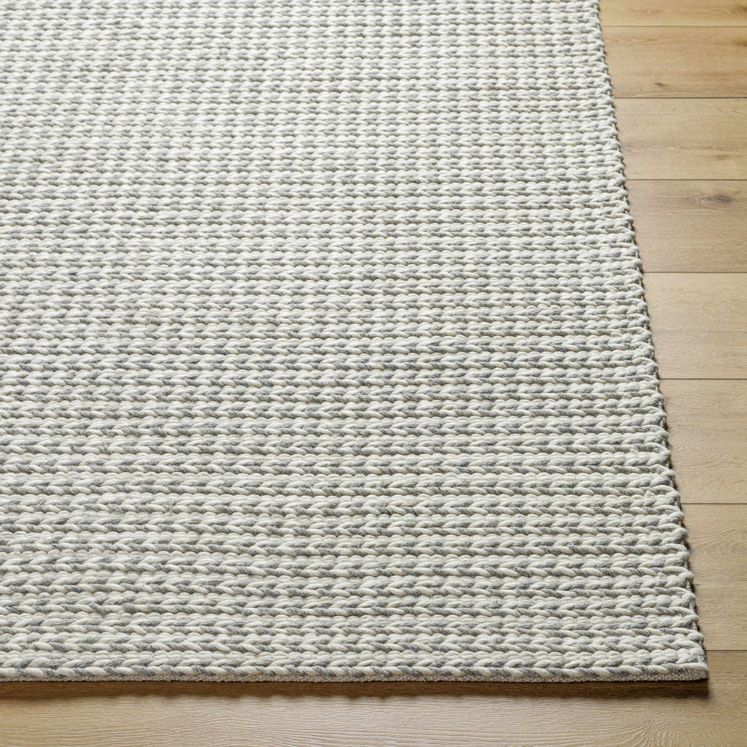 Lenci Modern Style Beige And Gray Hand Woven Wool Area Rug