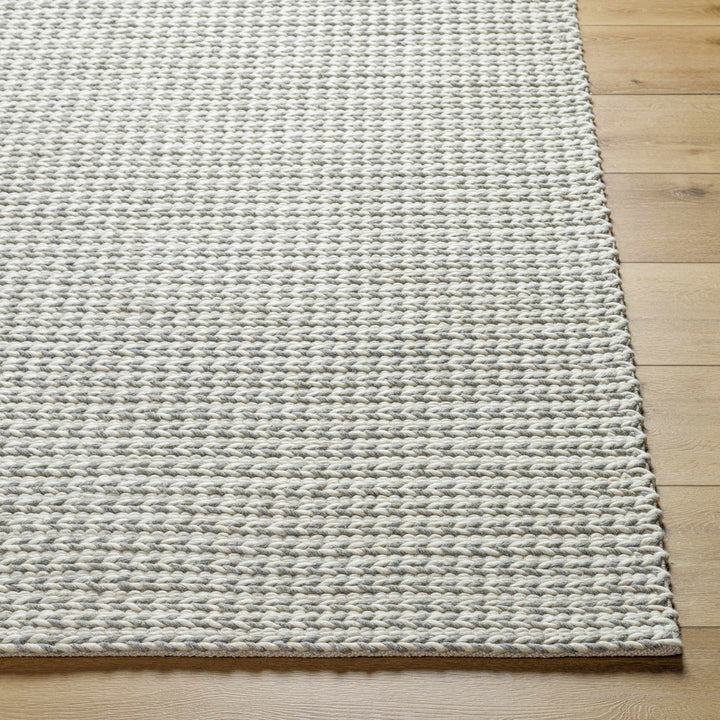 Lenci Modern Style Beige And Gray Hand Woven Wool Area Rug