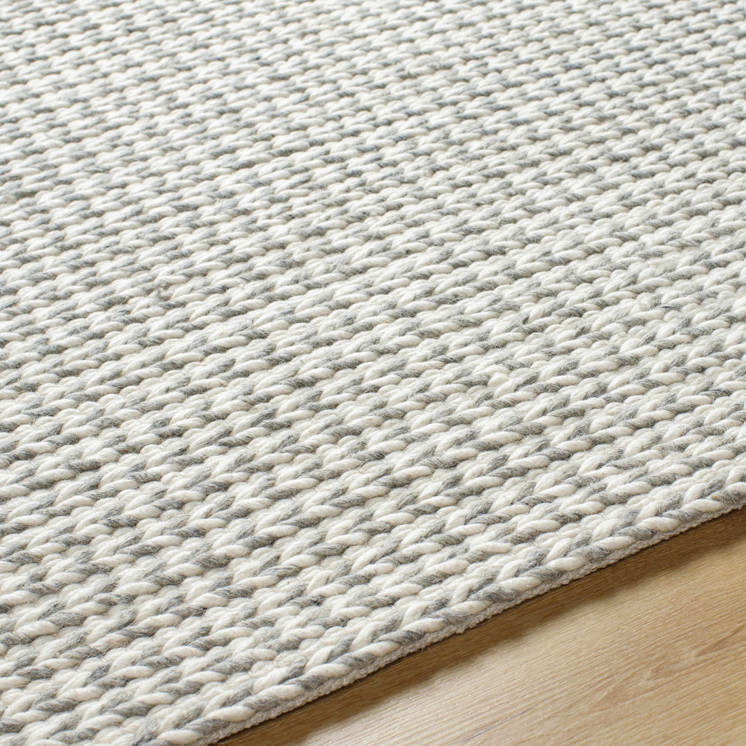 Lenci Modern Style Beige And Gray Hand Woven Wool Area Rug
