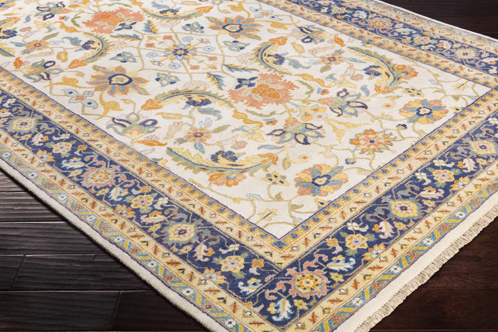 Starford Traditional Style Beige And Blue Hand Knotted Area Rug