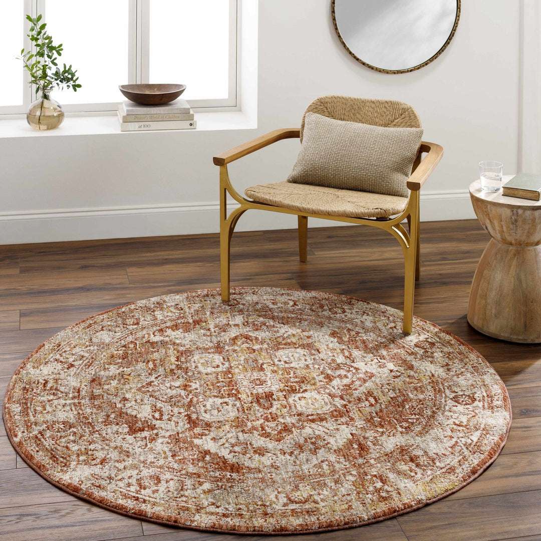 Strathbogie Traditional Style Beige And Rust Area Rug - The Rug Decor