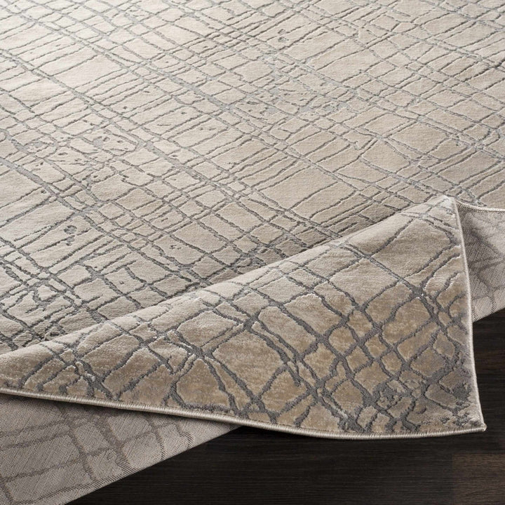 Strykersville Modern Style Beige And Gray Area Rug - The Rug Decor