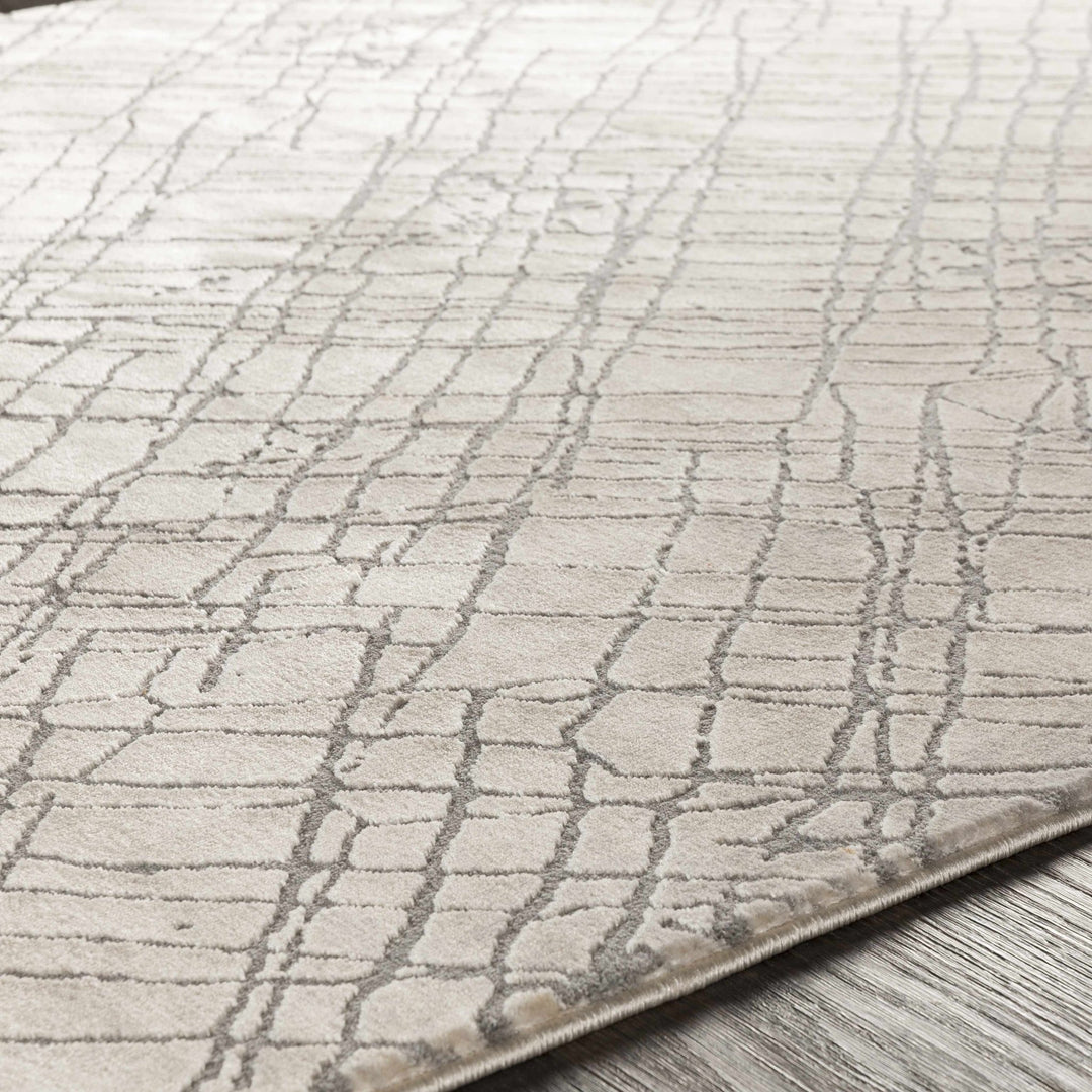 Strykersville Modern Style Beige And Gray Area Rug - The Rug Decor
