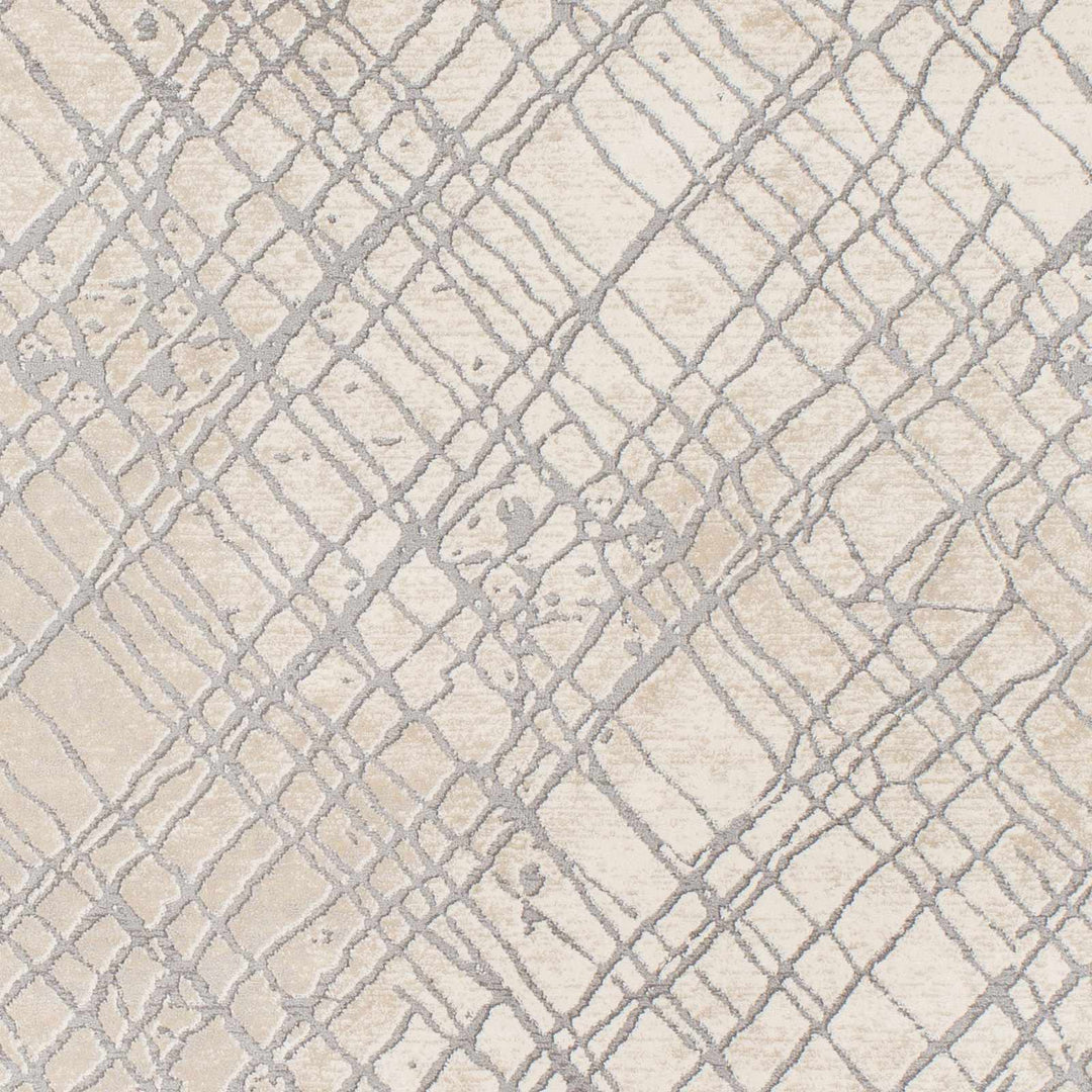 Strykersville Modern Style Beige And Gray Area Rug - The Rug Decor