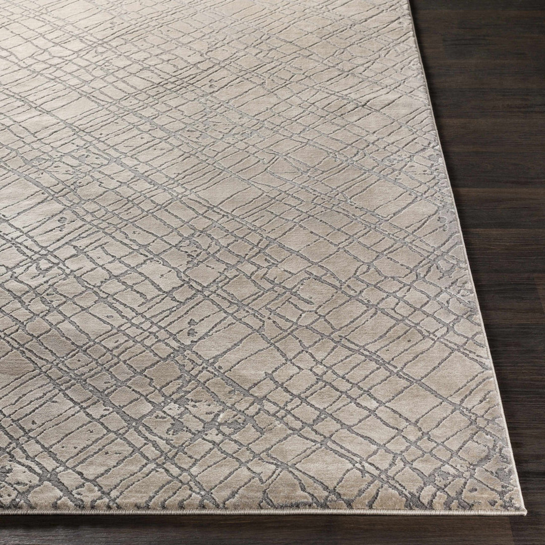 Strykersville Modern Style Beige And Gray Area Rug - The Rug Decor