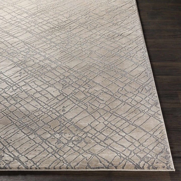 Strykersville Modern Style Beige And Gray Area Rug - The Rug Decor