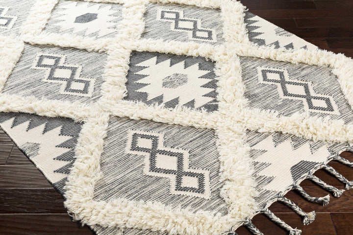 Sultan Modern Style Charcoal And Ivory Hand Woven Area Rug