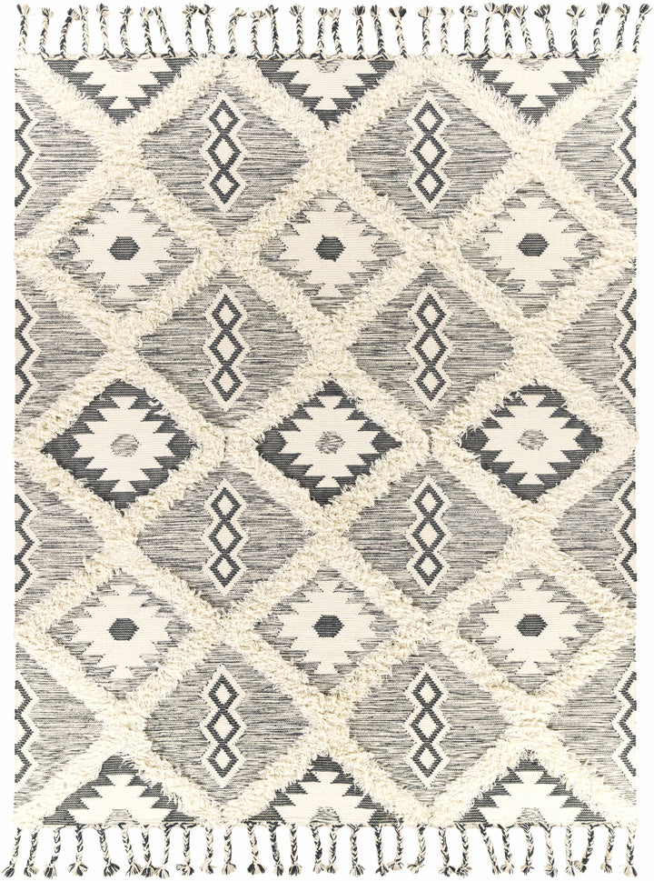 Sultan Modern Style Charcoal And Ivory Hand Woven Area Rug