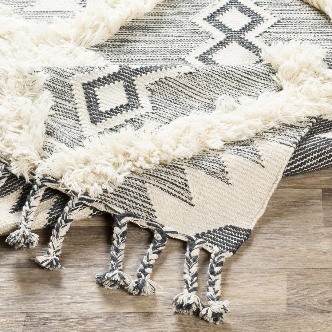 Sultan Modern Style Charcoal And Ivory Hand Woven Area Rug