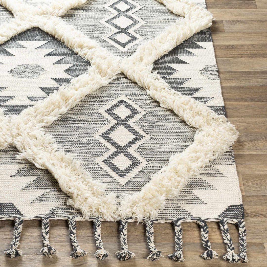 Sultan Modern Style Charcoal And Ivory Hand Woven Area Rug