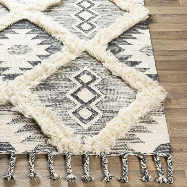 Sultan Modern Style Charcoal And Ivory Hand Woven Area Rug