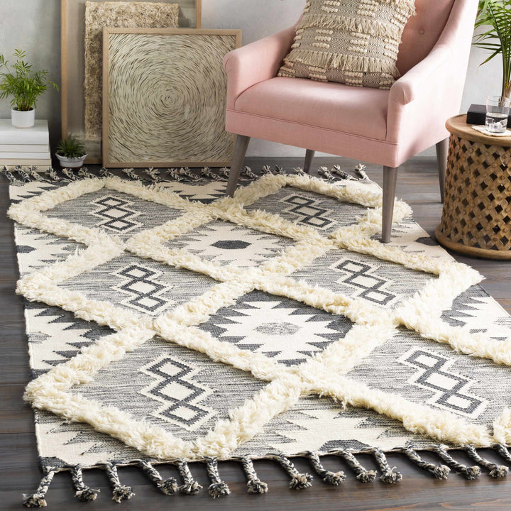 Sultan Modern Style Charcoal And Ivory Hand Woven Area Rug