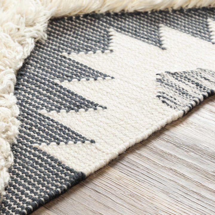 Sultan Modern Style Charcoal And Ivory Hand Woven Area Rug