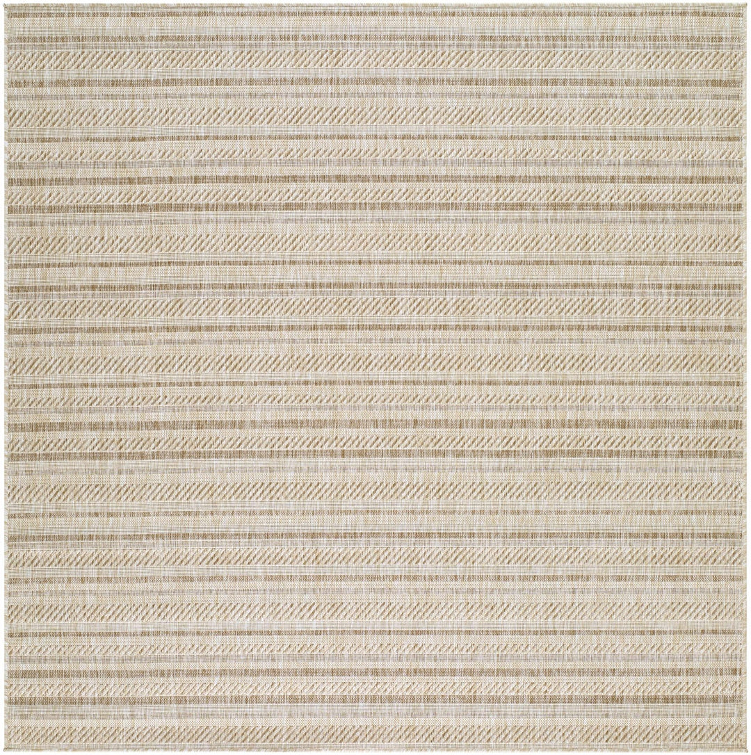 Sultanhisar Contemporary Style Beige Outdoor Area Rug - The Rug Decor