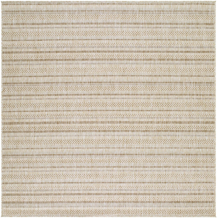 Sultanhisar Contemporary Style Beige Outdoor Area Rug - The Rug Decor
