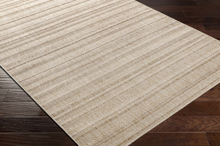 Sultanhisar Contemporary Style Beige Outdoor Area Rug - The Rug Decor