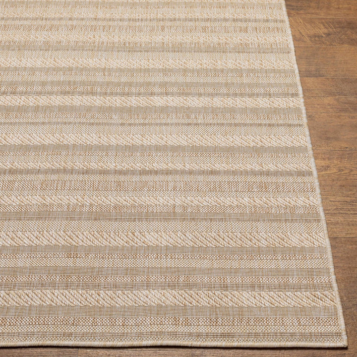 Sultanhisar Contemporary Style Beige Outdoor Area Rug - The Rug Decor