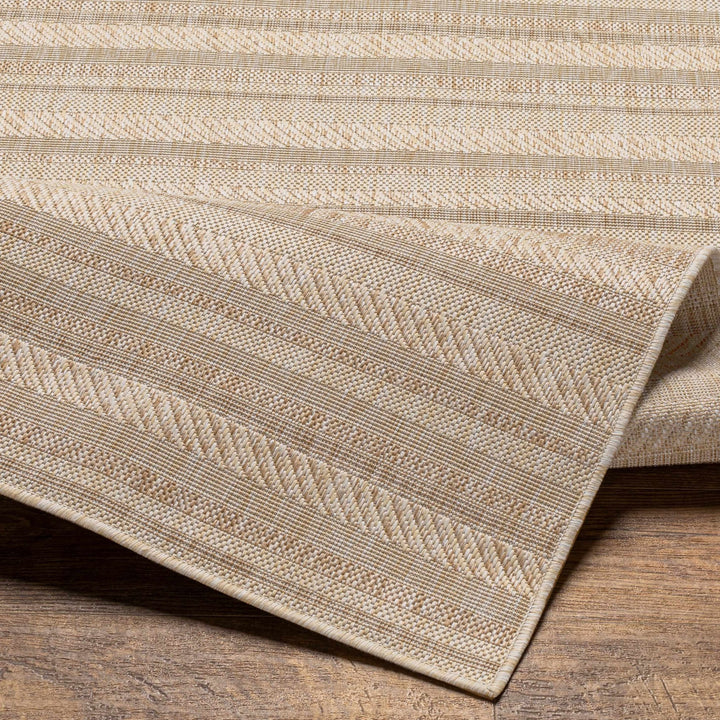 Sultanhisar Contemporary Style Beige Outdoor Area Rug - The Rug Decor