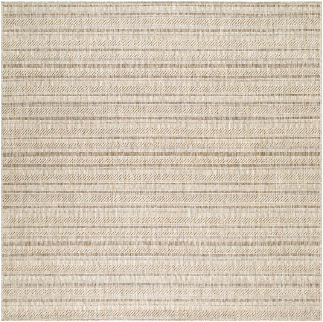 Sultanhisar Contemporary Style Beige Outdoor Area Rug - The Rug Decor