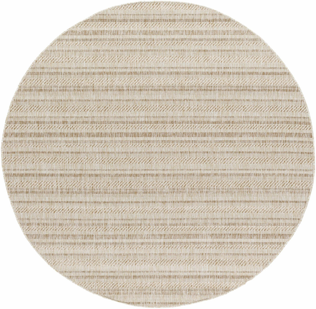 Sultanhisar Contemporary Style Beige Outdoor Area Rug - The Rug Decor