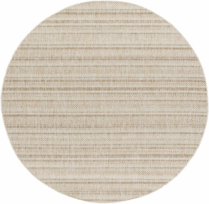 Sultanhisar Contemporary Style Beige Outdoor Area Rug - The Rug Decor