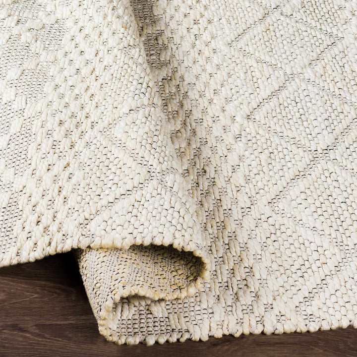 Sungurlu Modern Geometrical Design Ivory Hand Woven Area Rug - The Rug Decor