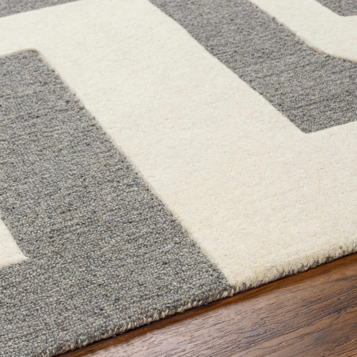 Suni Contemporary Design Ivory And Gray Hand Tufted Wool Rug - The Rug Decor
