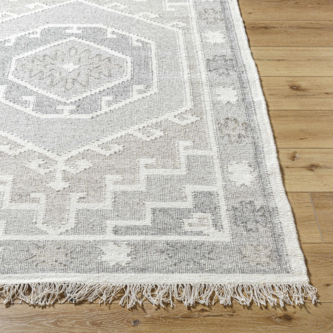 Donny Traditional Style Beige And Gray Hand Woven Wool Area Rug
