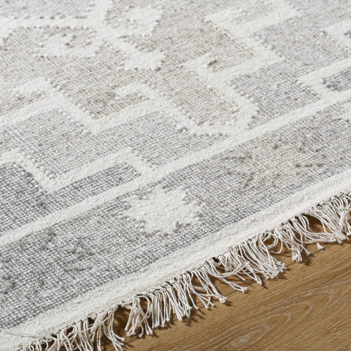 Donny Traditional Style Beige And Gray Hand Woven Wool Area Rug