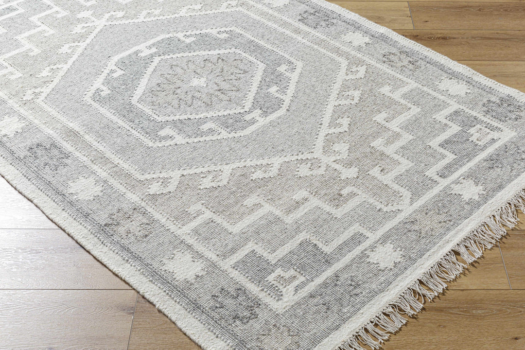 Donny Traditional Style Beige And Gray Hand Woven Wool Area Rug