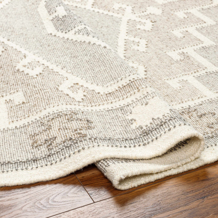 Donny Traditional Style Beige And Gray Hand Woven Wool Area Rug