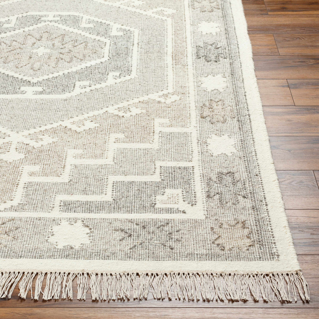 Donny Traditional Style Beige And Gray Hand Woven Wool Area Rug