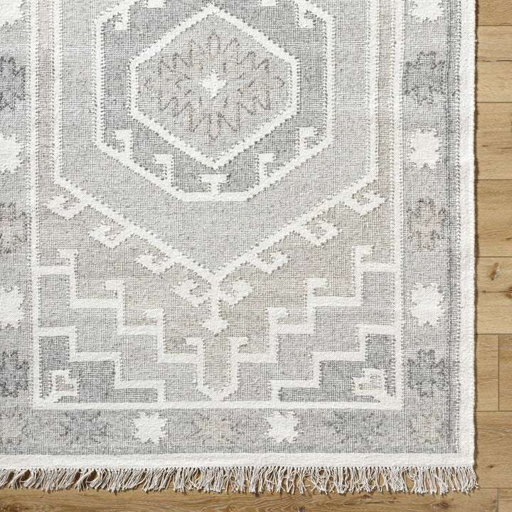 Donny Traditional Style Beige And Gray Hand Woven Wool Area Rug
