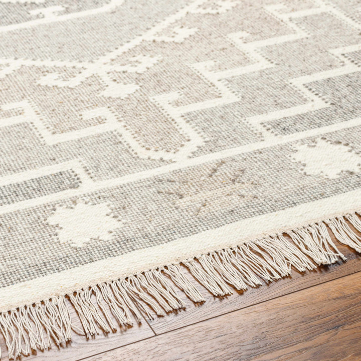 Donny Traditional Style Beige And Gray Hand Woven Wool Area Rug