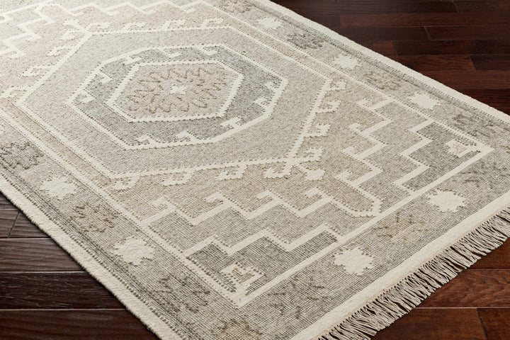 Donny Traditional Style Beige And Gray Hand Woven Wool Area Rug