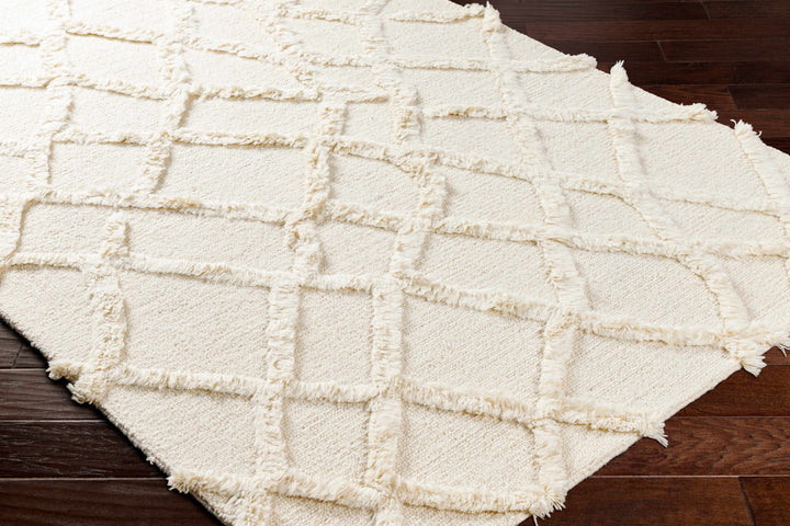 Adica Contemporary Style Ivory Hand Tufted Wool Area Rug