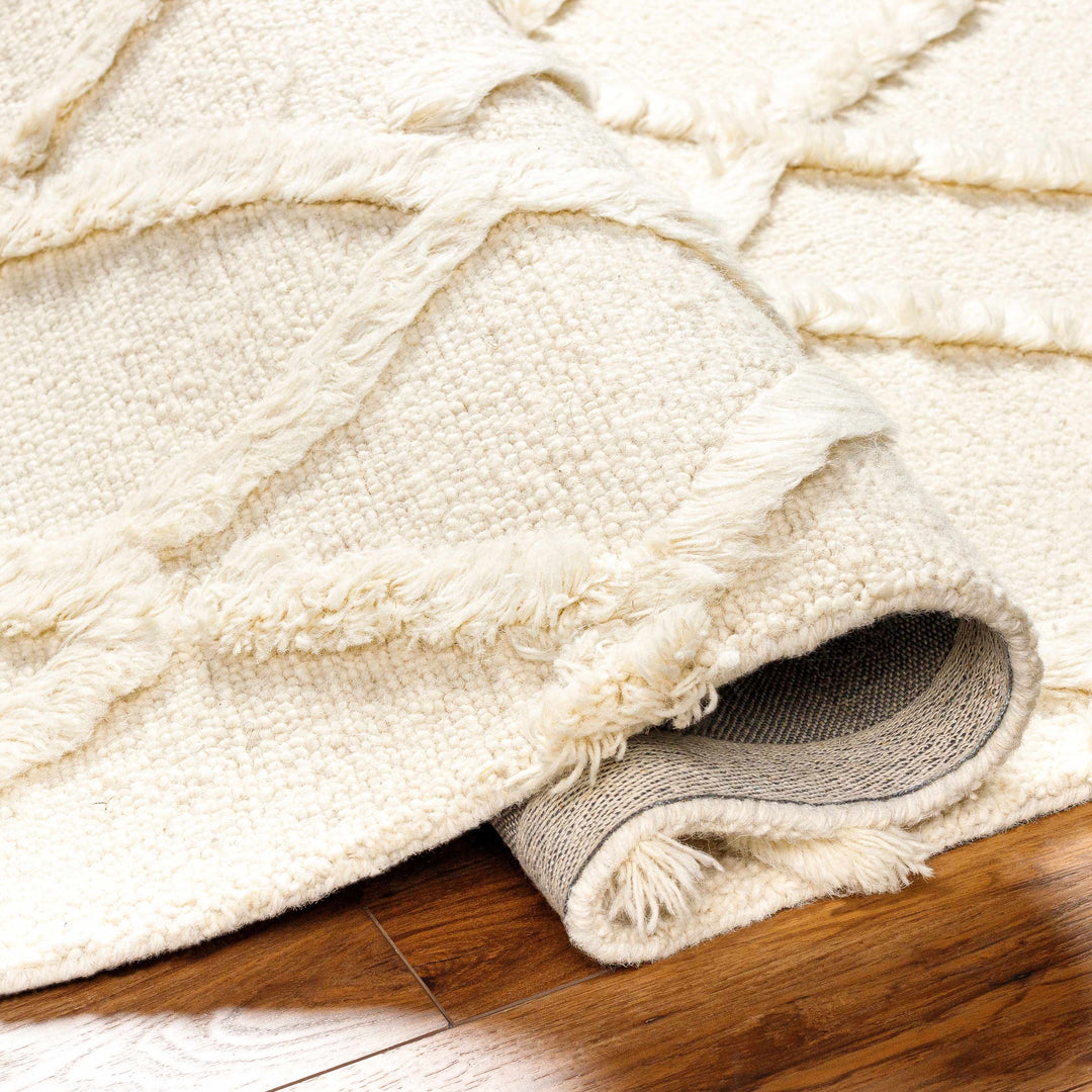 Adica Contemporary Style Ivory Hand Tufted Wool Area Rug
