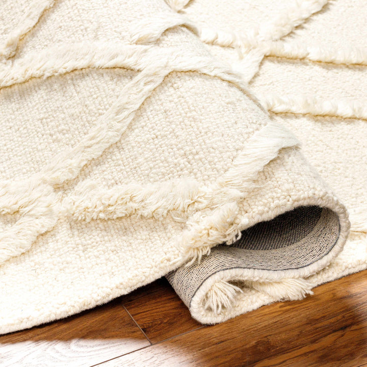 Adica Contemporary Style Ivory Hand Tufted Wool Area Rug