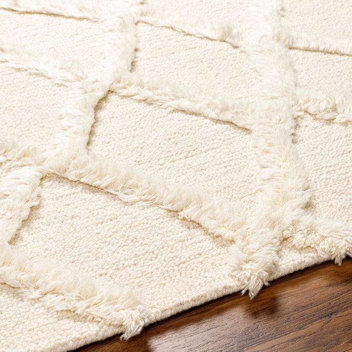 Adica Contemporary Style Ivory Hand Tufted Wool Area Rug