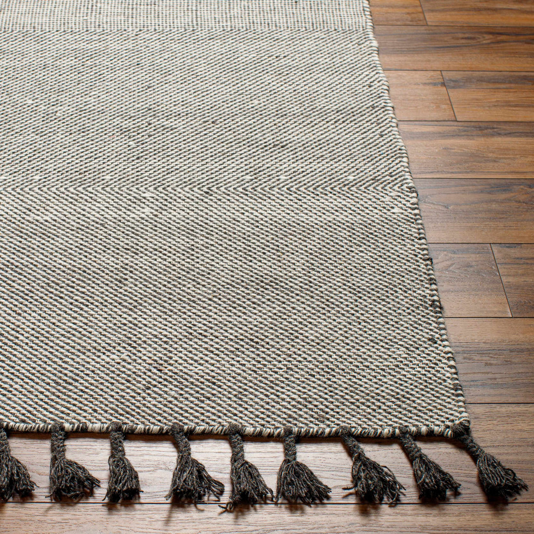 Abhay Modern Style Brown And Iovry Hand Woven Wool Area Rug
