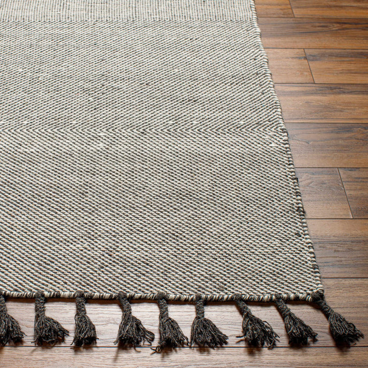 Abhay Modern Style Brown And Iovry Hand Woven Wool Area Rug