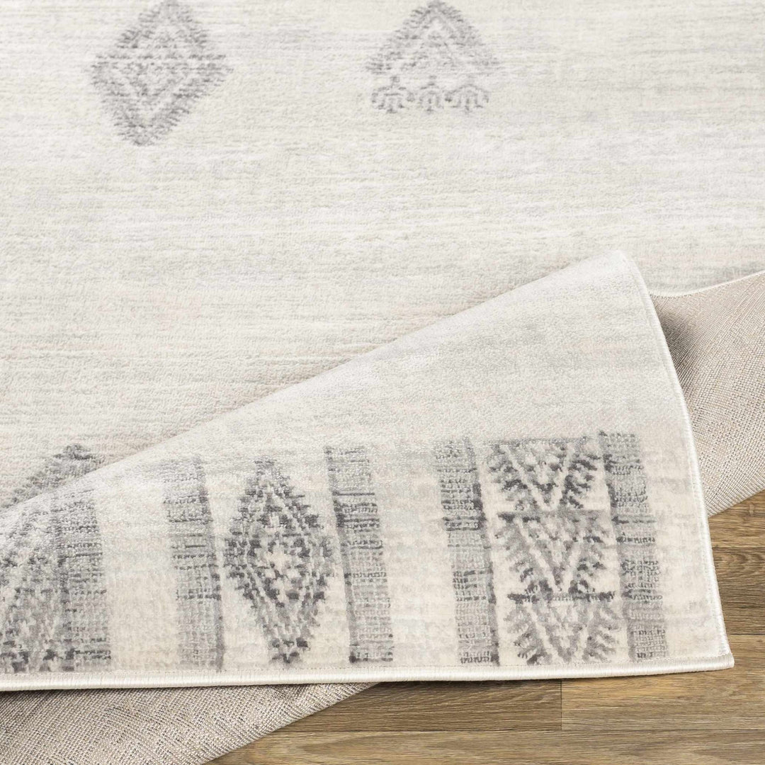 Swindon Traditional Style Ivory And Gray Area Rug - The Rug Decor