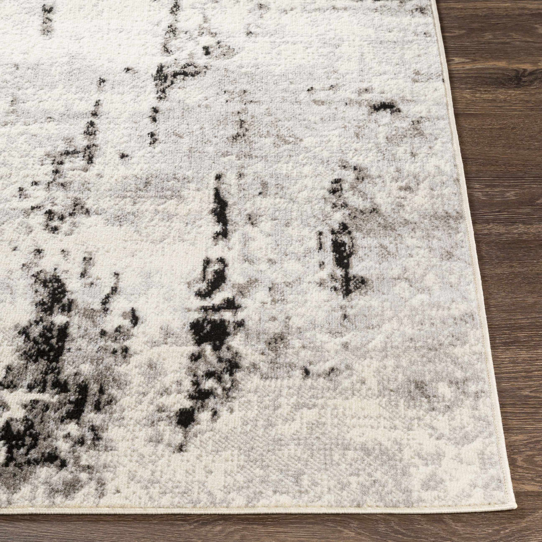 Swansboro Ivory And Black Modern Abstract Design Area Rug