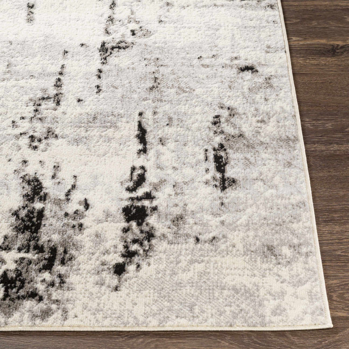 Swansboro Ivory And Black Modern Abstract Design Area Rug