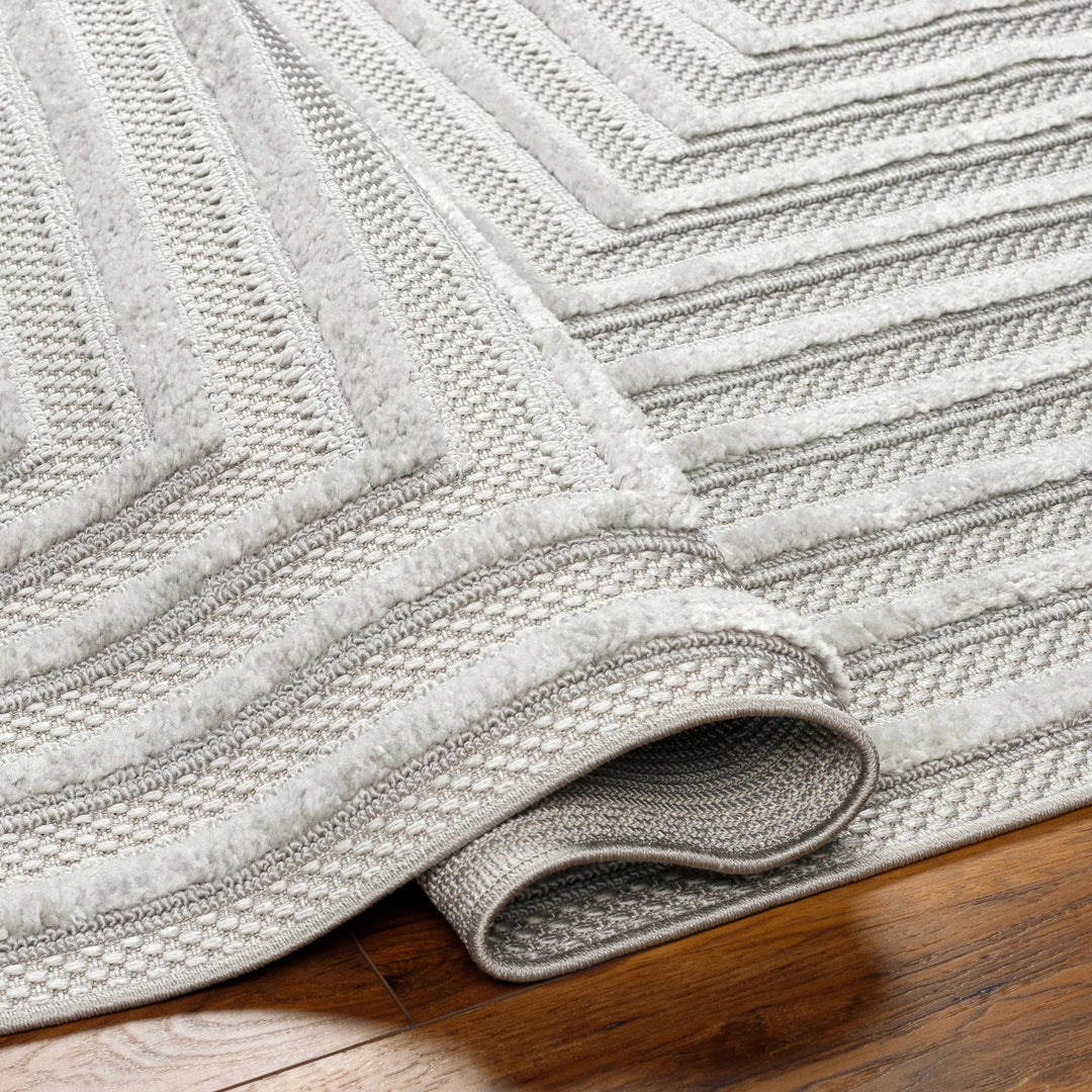 Cadee Gray Contemporary Style Outdoor Area Rug