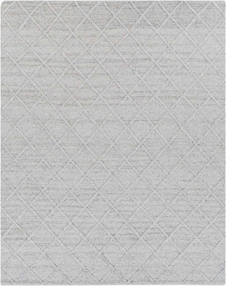 Syosset Gray Modern Style Hand Woven Wool Area Rug - The Rug Decor