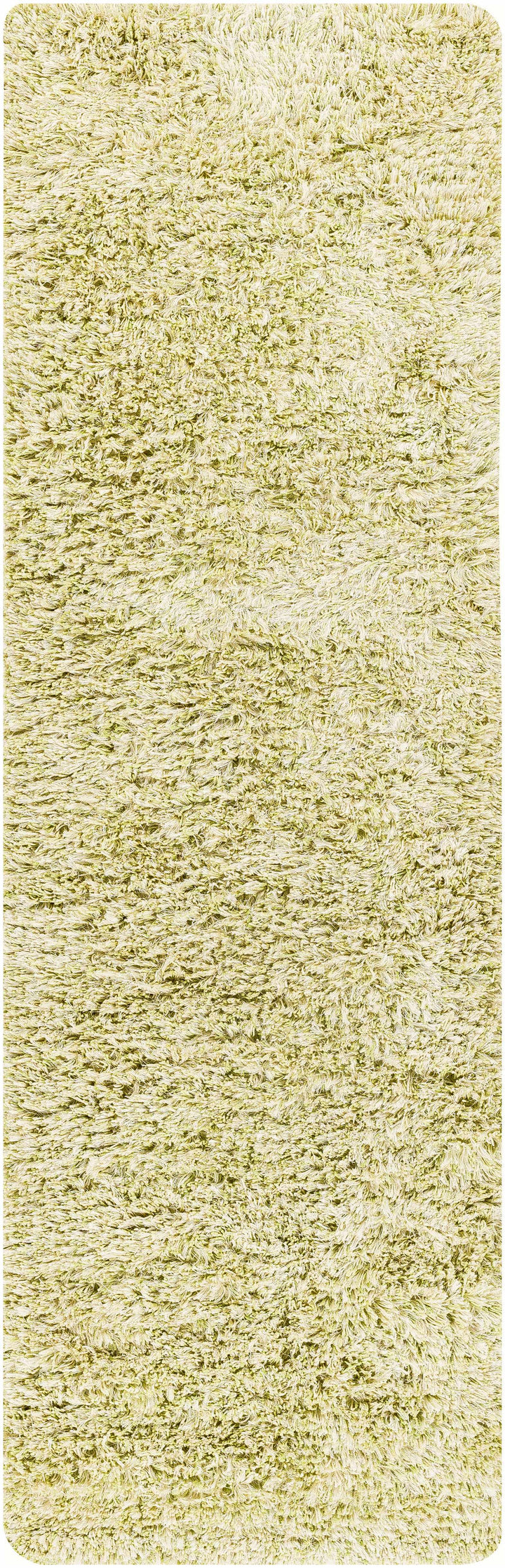 Tabiauan Green Modern Solid Design Hand Woven Area Rug