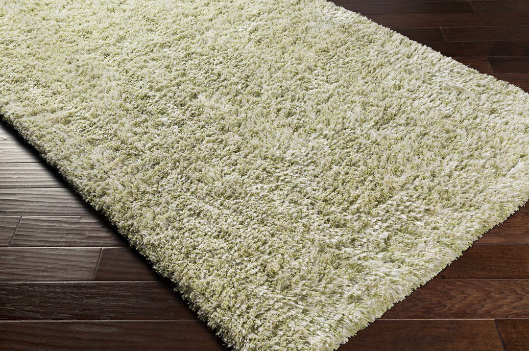 Tabiauan Green Modern Solid Design Hand Woven Area Rug